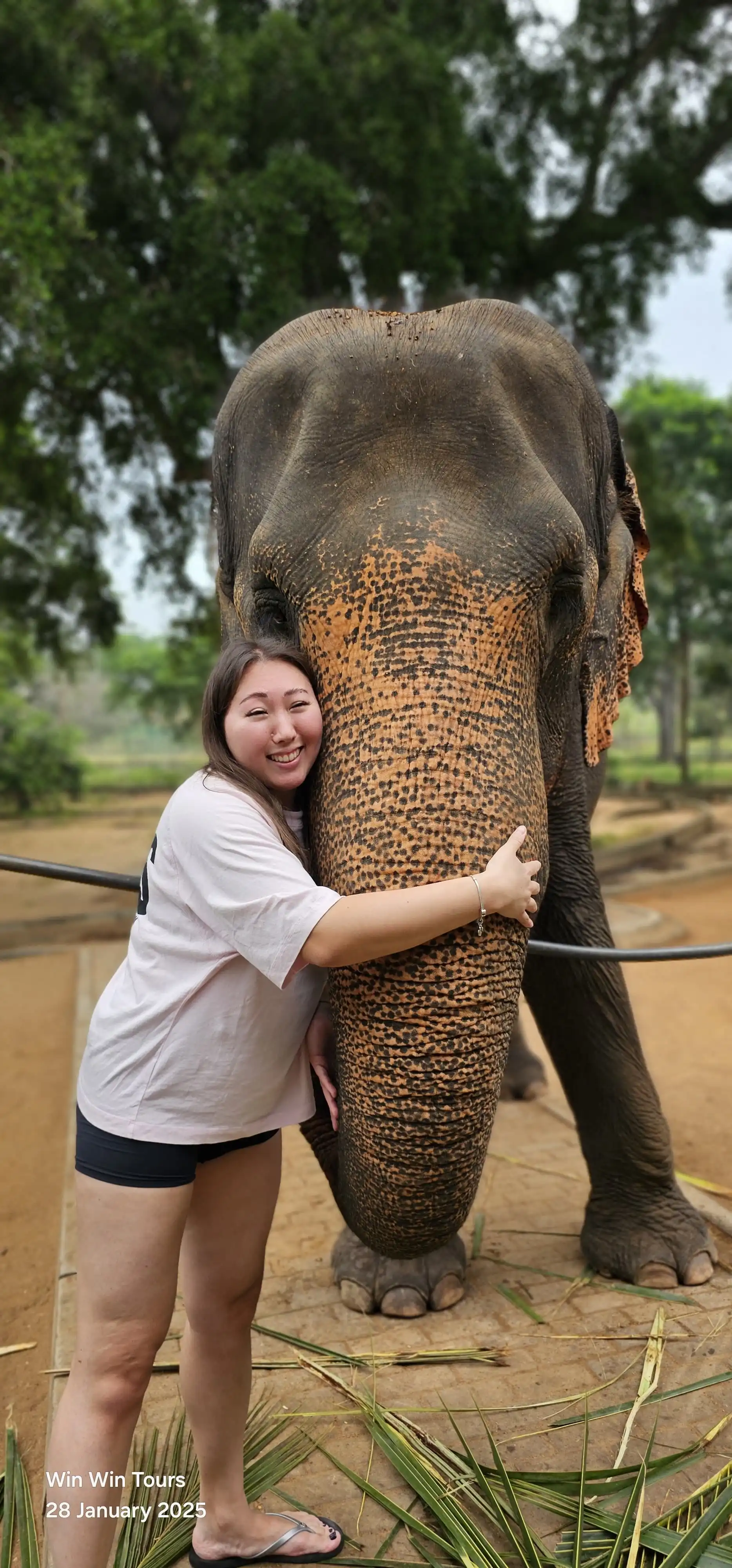 win win tours memories