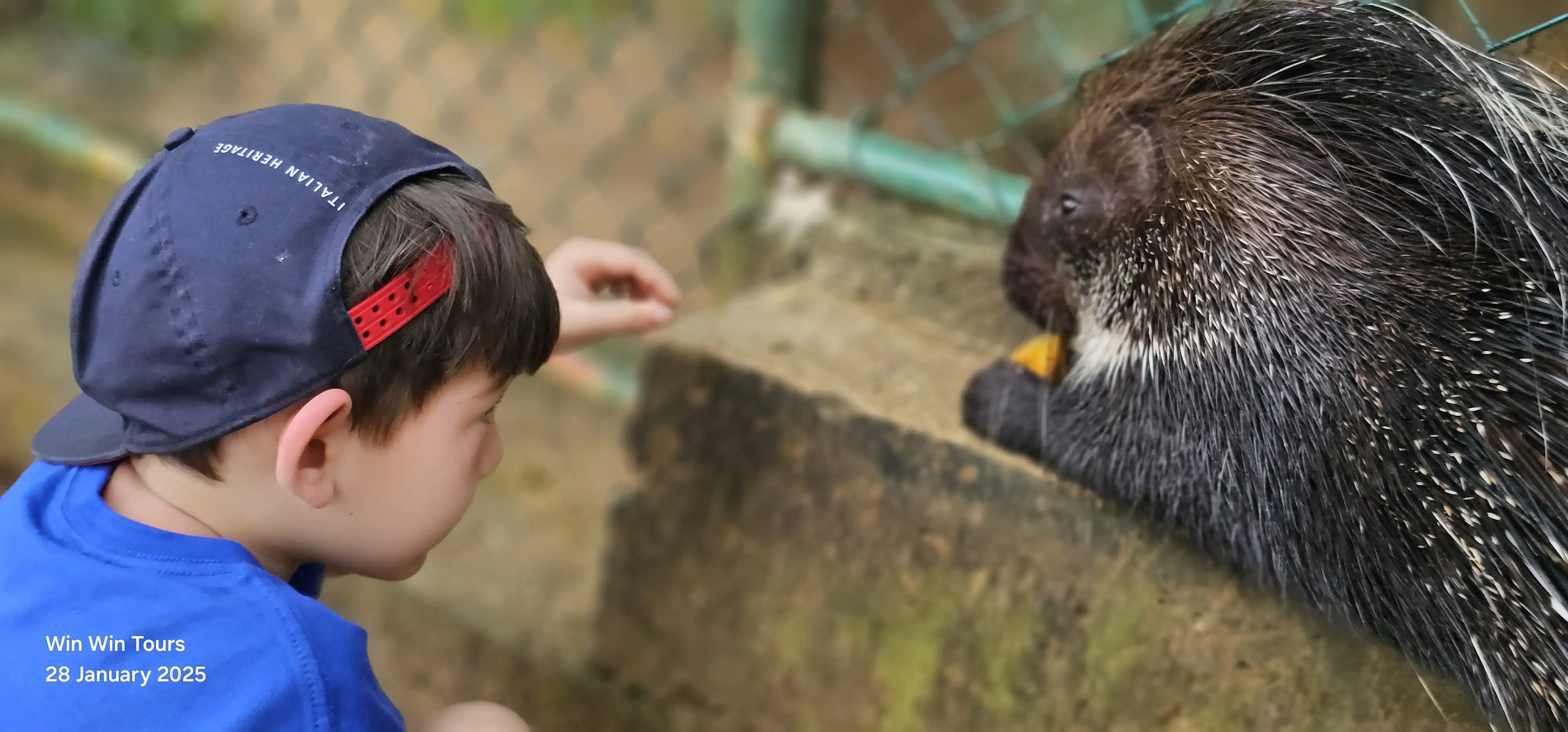 win win tours memories