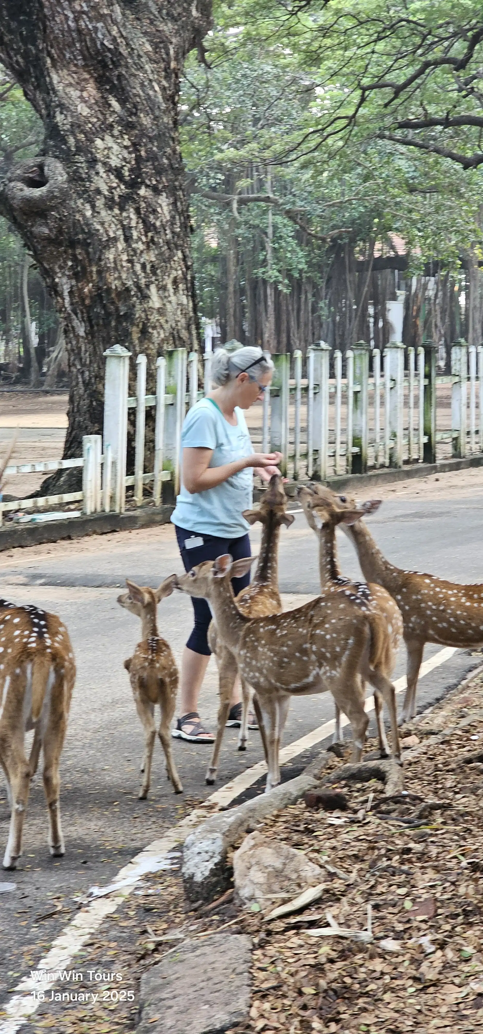 win win tours memories