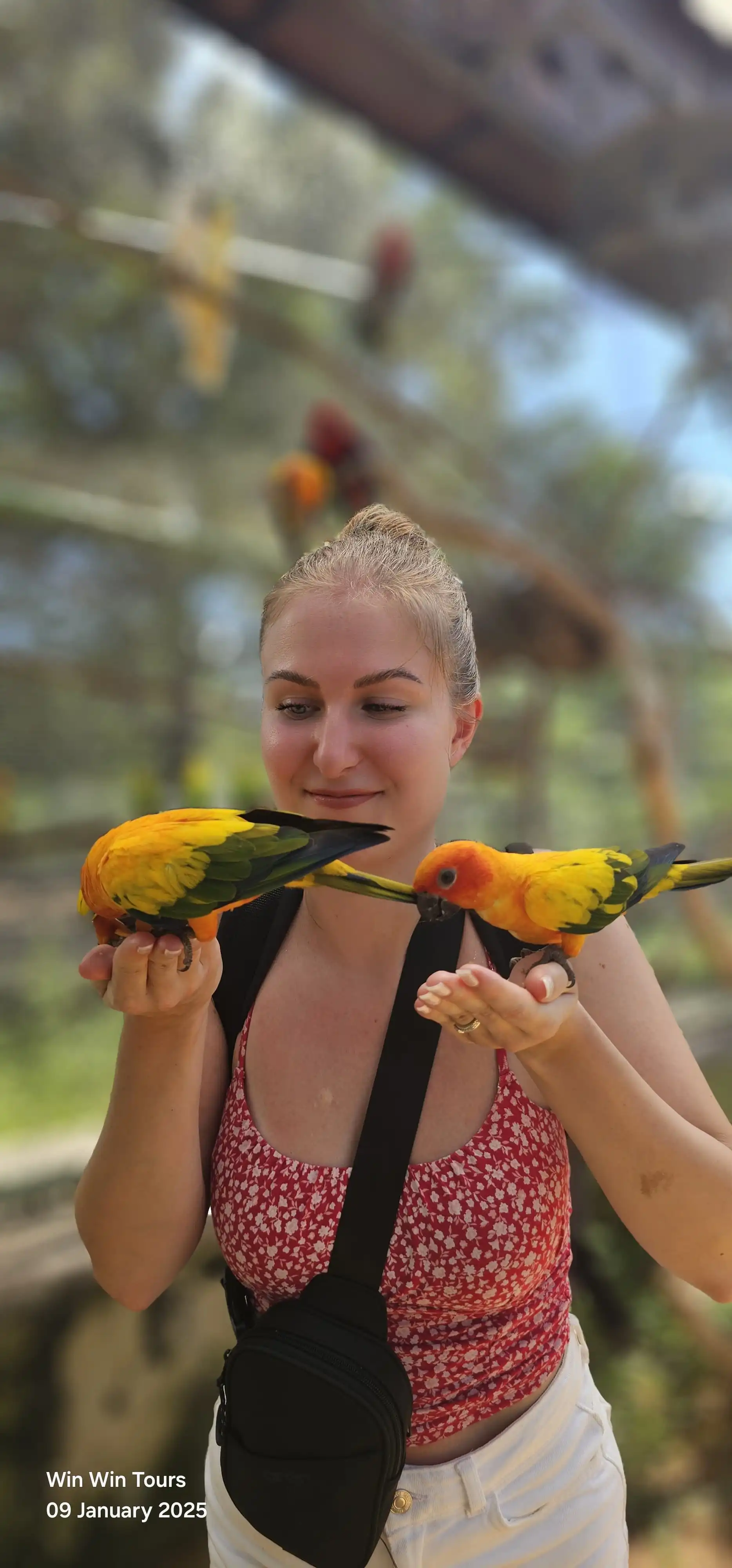 win win tours memories