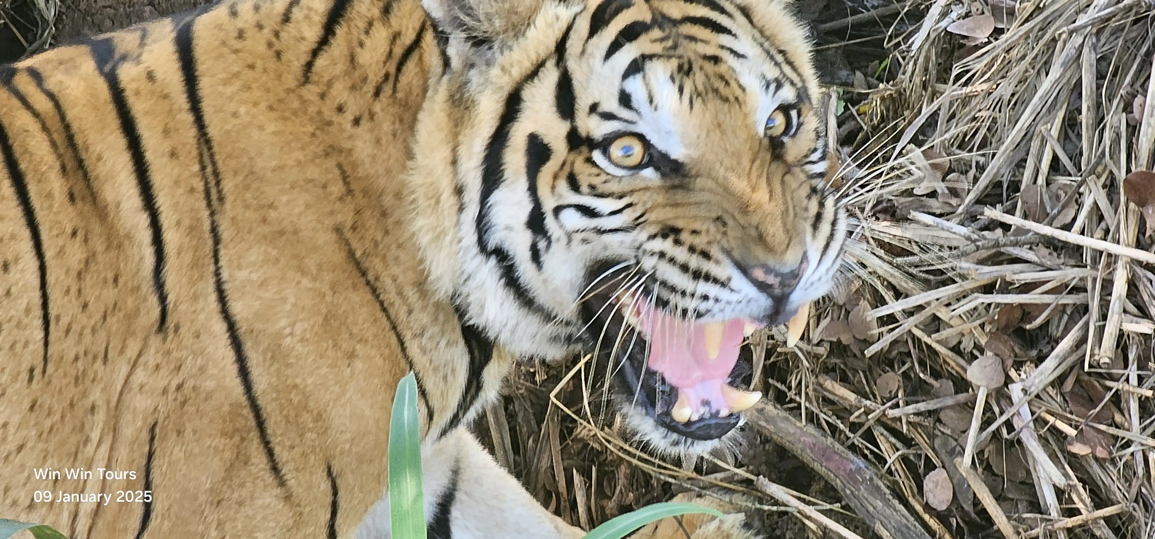 win win tours memories