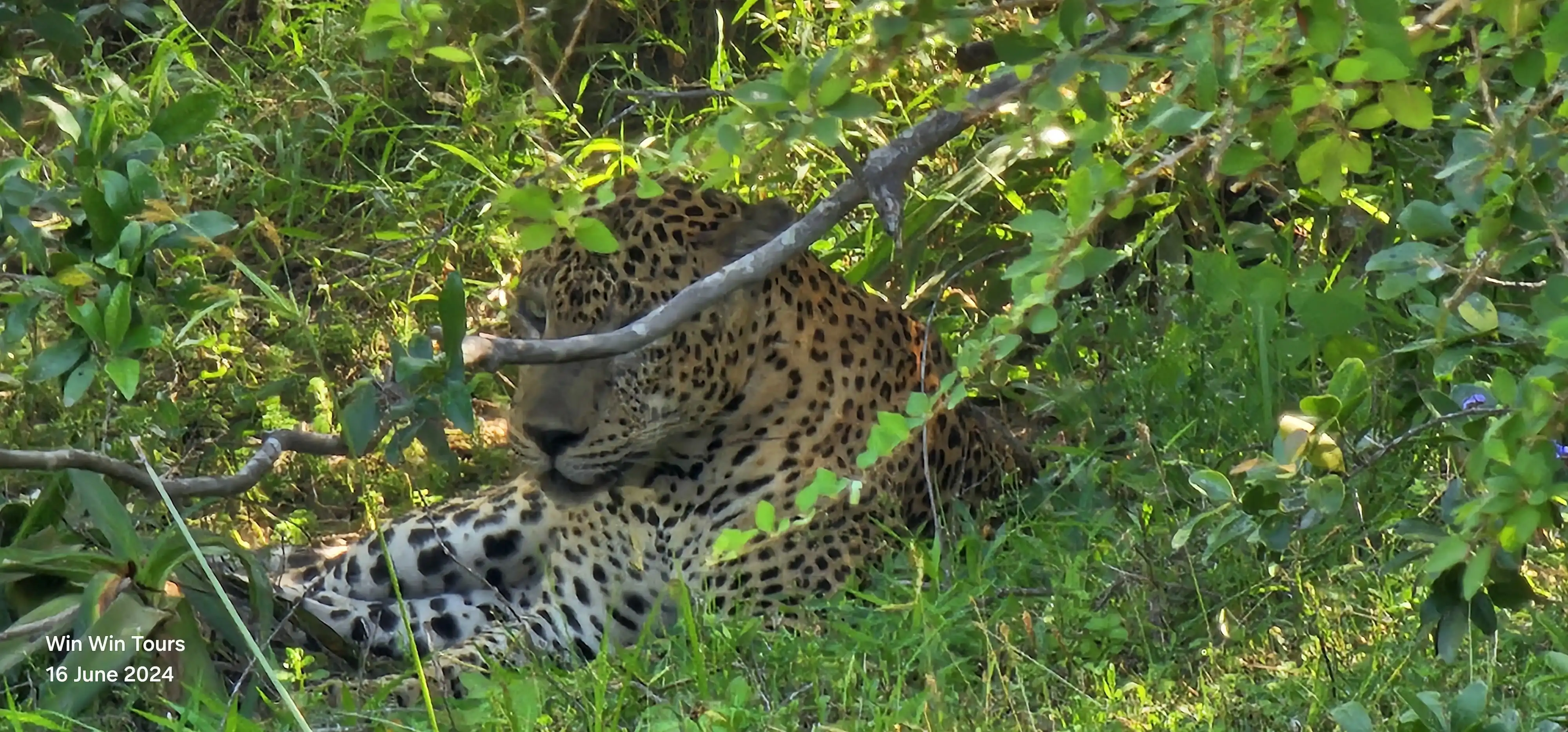 win win tours memories