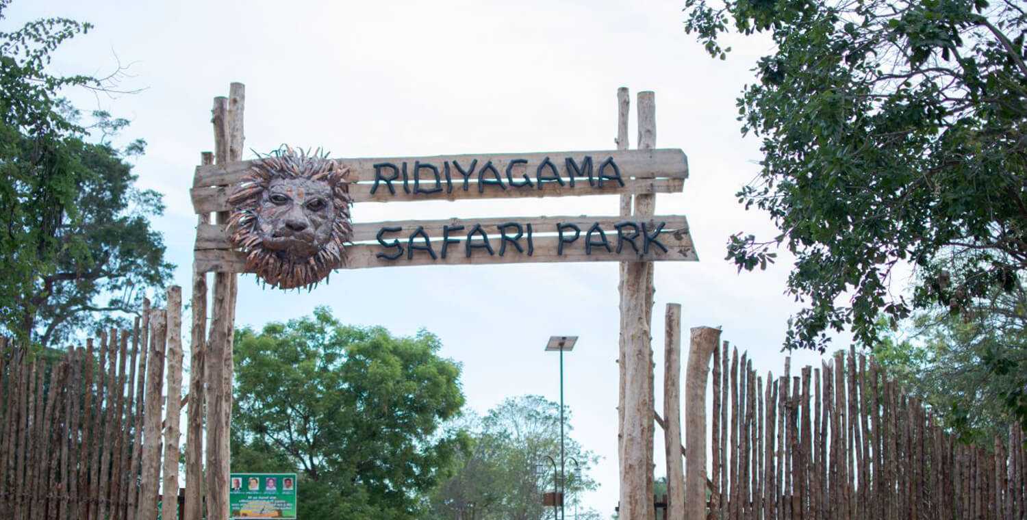ridiyagama safari