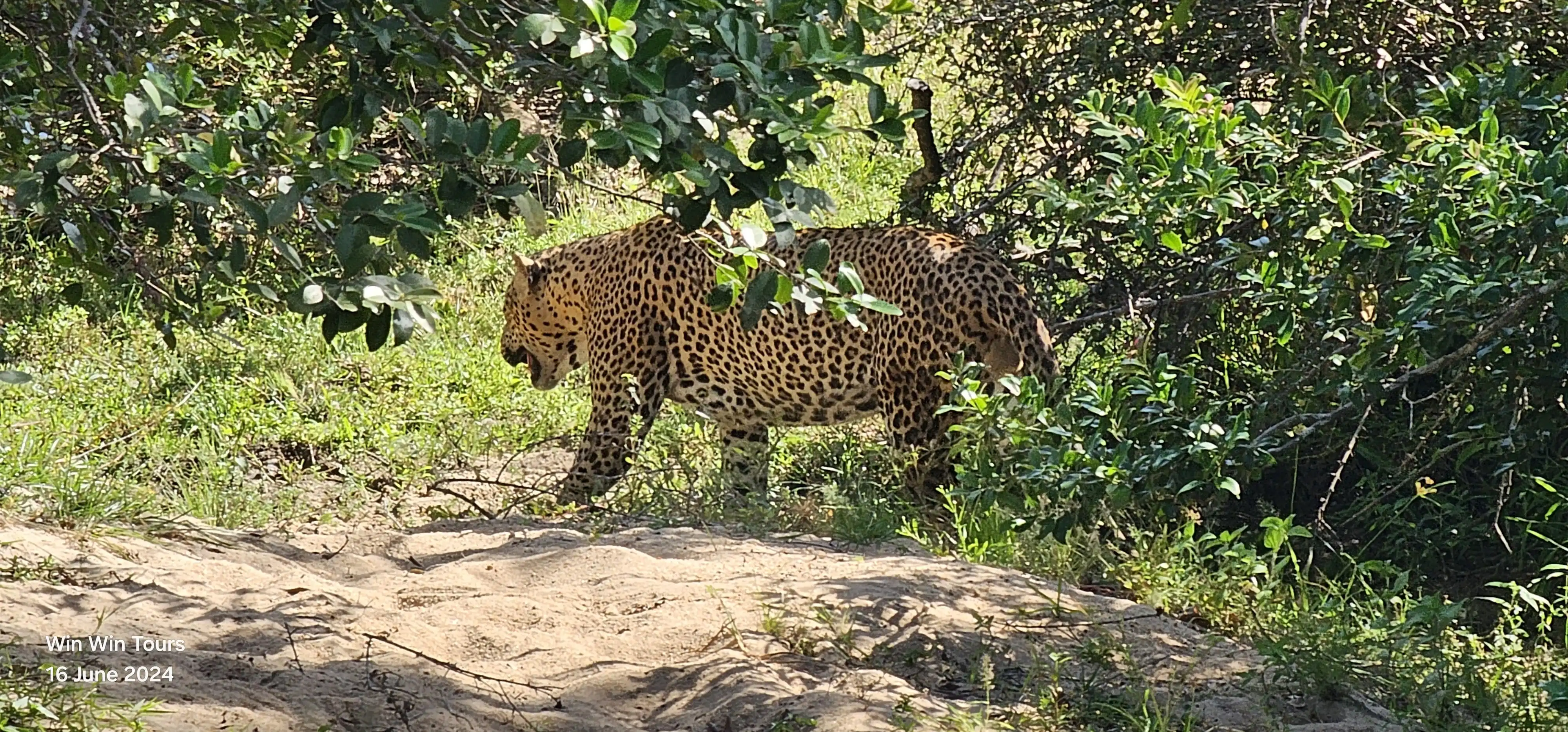 yala national park